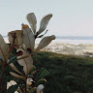 Meet your Posher, Montana